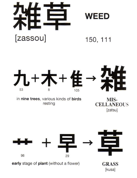 Kanji the Japanese characters that borrows from Chinese 
